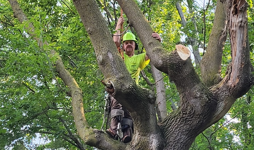 Higgins Construction Services