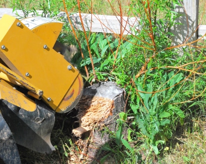 LAND CLEARING